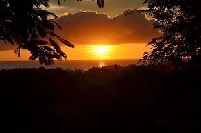 The Nest Tobago Apartments