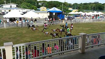 The Nest Tobago Apartments
