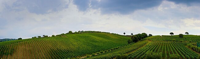 Radici Resort