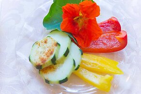 Hotel Goldener Stern