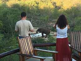 Elephant Game Lodge
