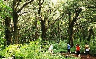 Golden Tulip Jeju Seongsan Hotel