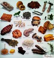 Casale Margherita turismo rurale