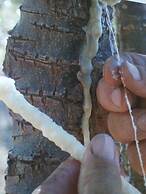 Casale Margherita turismo rurale