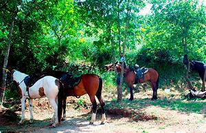 Casale Margherita turismo rurale