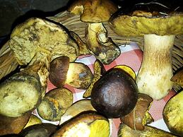 Casale Margherita turismo rurale