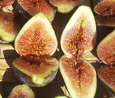 Casale Margherita turismo rurale