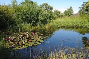 Tingvall B&B Eco-Lodge