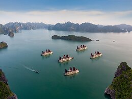 Orchid Trendy Cruise