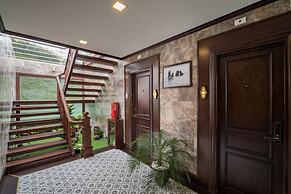 Orchid Trendy Cruise