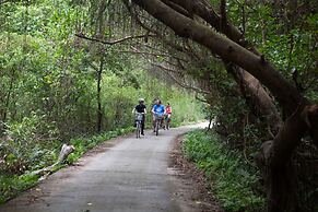 Orchid Trendy Cruise