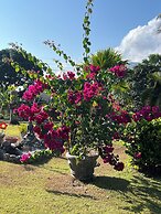 The Orchard Holiday Home