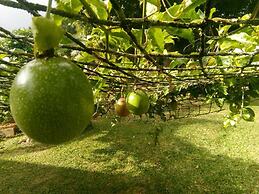 The Orchard Holiday Home