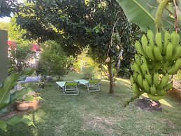 The Orchard Holiday Home