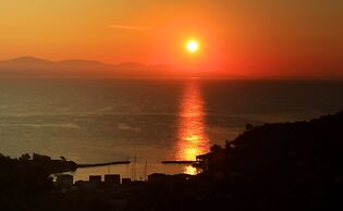 Artist's Villa Lilac Lilium