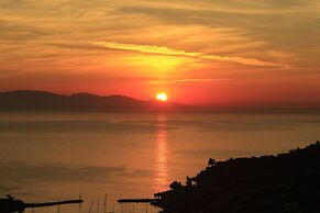 Artist's Villa Red Rose