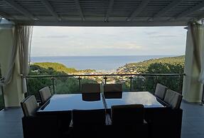 Artist's Villa Red Rose