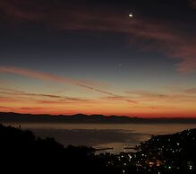 Artist's Villa Red Rose