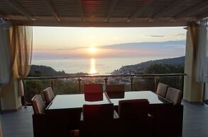 Artist's Villa Red Rose