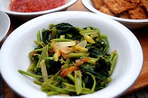 Panda Cottage - Hostel