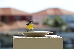 Caribbean Lofts Bonaire