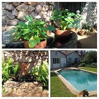 Maison - H Guest House