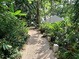 Elan at Ballena Beach