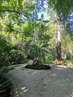 Elan at Ballena Beach