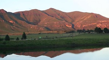 Groenhoek Game and Guest Farms