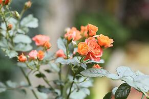 SapaAubergeDangtrung Hotel