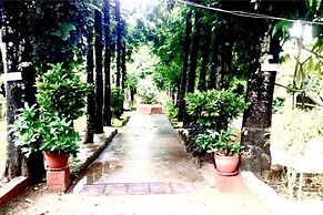 Safari Wildlife Lodge & Camp