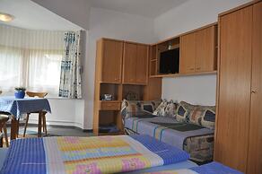 Appartements & Ferienwohnungen Pfausler