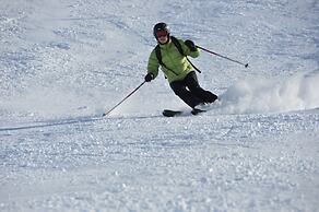 Appartements & Ferienwohnungen Pfausler