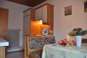 Appartements & Ferienwohnungen Pfausler