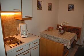 Appartements & Ferienwohnungen Pfausler