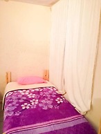 Guest Green - Adults Only - Hostel