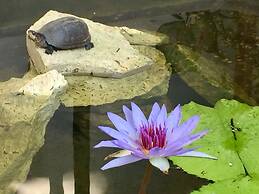 Ocean Zen Suites on 5th Avenue - Adults Only