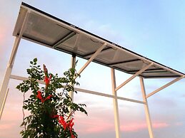 Ocean Zen Suites on 5th Avenue - Adults Only