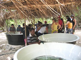 Tranquility Island Resort