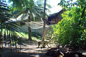 Tranquility Island Resort