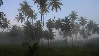 Seven Turtles Resort