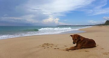 Seven Turtles Resort