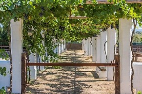 Tia Maria Country Inn