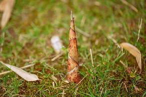 Hilton Garden Inn Hangzhou Lu'niao