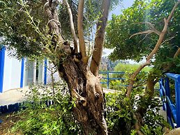 Lavanta Hotel Turunc