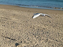 Appartements Residence DE Lestran