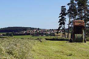 Logis Auberge des Myrtilles