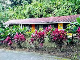 Selva Color Forest & Beach Ecolodge