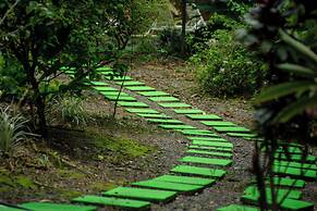 Selva Color Forest & Beach Ecolodge