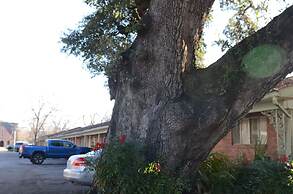 The Oak Motel